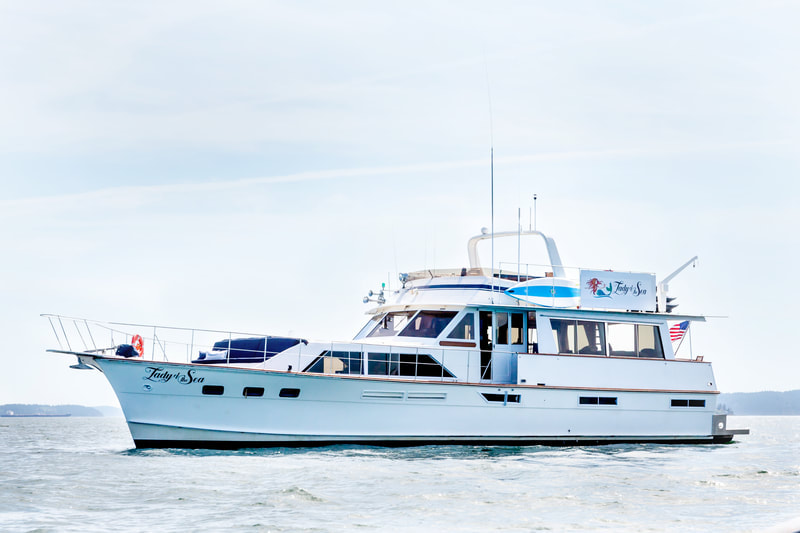 blue heron international yacht sales